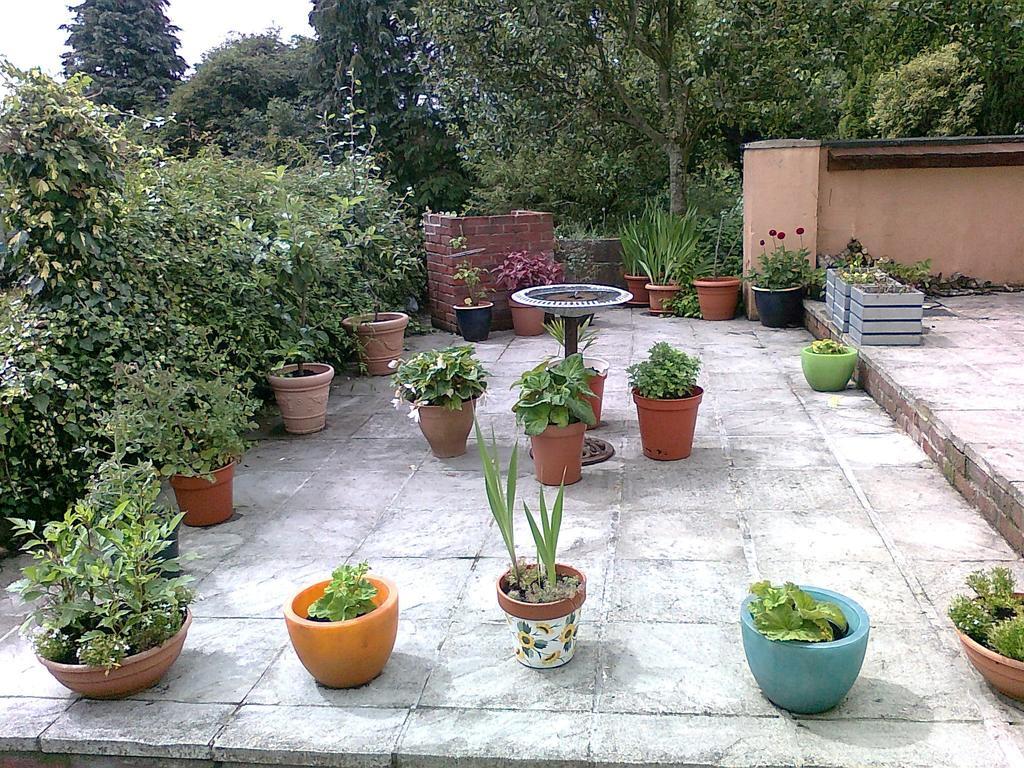Reads Park Self - Catering Accommodation Galbally Exterior photo